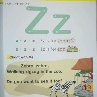 U13 The Letter Zz