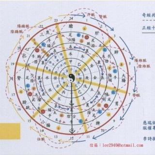 陈景茹老师学习象数疗法笔记34
