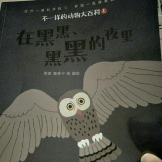 不一样的动物大百科——第12本:在黑黑、黑黑的夜里