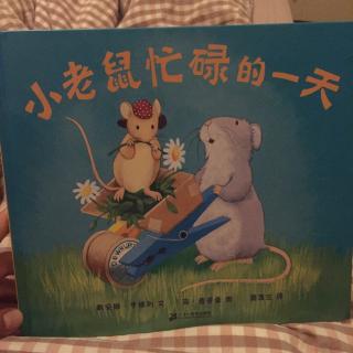 小老鼠忙碌的一天