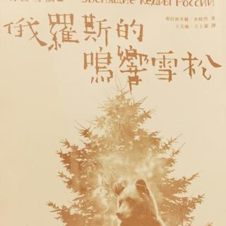 鳴響雪松2.俄羅斯的鳴響雪松-4.私人對話