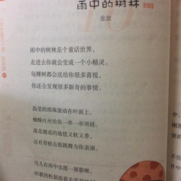 10.26 雨中的树林