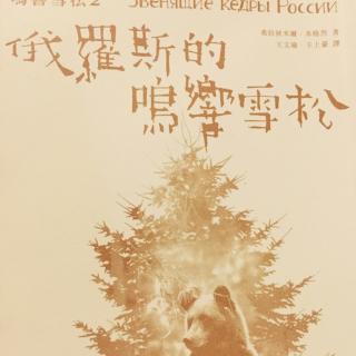 鳴響雪松2.俄羅斯的鳴響雪松-6.櫻桃樹