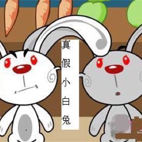 真假小白兔🐰