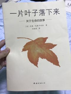 一片叶子落下来