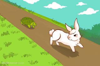 《龟🐢兔🐰第二次赛跑》