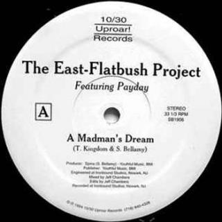 The East Flatbush Project - A Madman's Dream