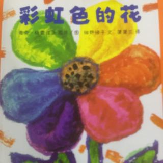 绘本故事《彩虹色的花》