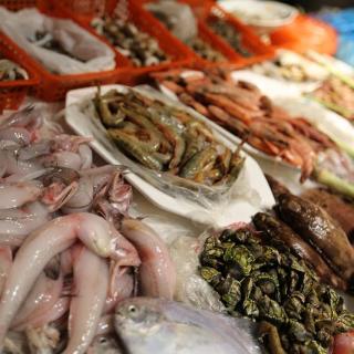 Zhoushan desarrolla la pesca ecológica para que los recursos marítimos se recuperen