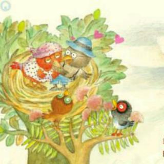 宝贝睡前故事40🌳《鸟窝里的树》