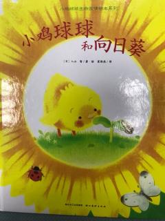 雁子妈妈讲故事《小鸡球球🐤和向日葵🌻》