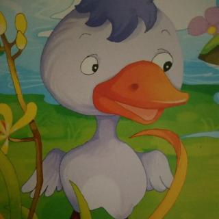 小百灵幼儿园绘本故事《丑小鸭》
