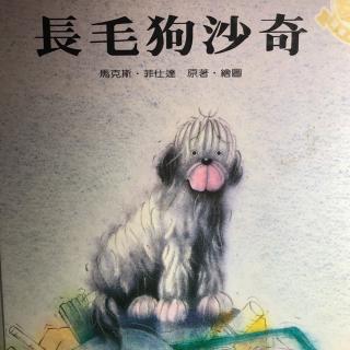 长毛狗沙奇