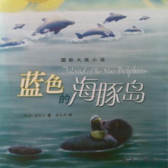 蓝色的海豚岛ppt图片