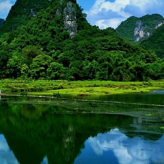 周六数学:凑十歌、9以内的分成,数数1~80正倒