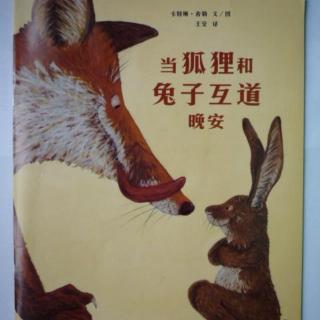 当狐狸🦊和兔子🐰互道晚安😴🌙