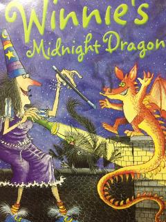 No.112 Winnie's Midnight Dragon