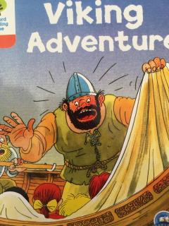 Viking  adventure