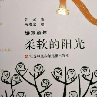 《柔软的阳光》31