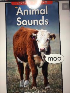 Animal Sounds