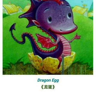 Dragon Egg《龙蛋》