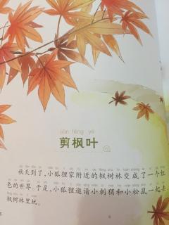 安全故事：剪枫叶