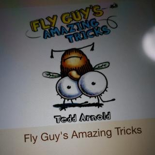 FLY GUY'S AMAZING TRICKS