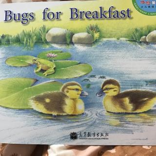 bugs for breakfast-20171029