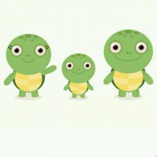 《三只小乌龟的故事》