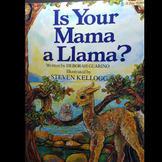 is your mama a llama-Tommy