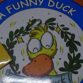 A Funny duck