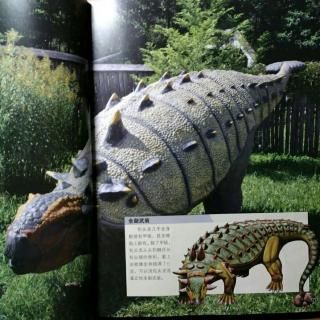 恐龙星球白垩纪【包头龙】-05