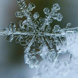 雪花的快乐