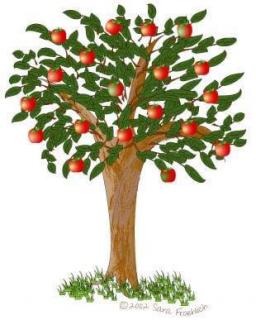 园长妈妈讲故事 八十八个红苹果