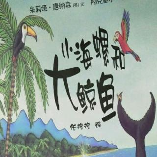 小海螺和大鲸鱼