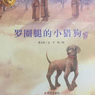 绘本故事—罗圈腿的小猎狗【曹文轩】