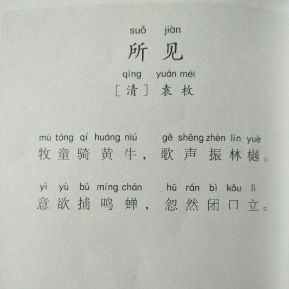 306,所见——清 袁枚