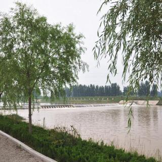 La administración eficiente de los ríos trae resultados positivos a la Ciudad de Rizhao