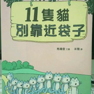 136.【Tina讲故事】绘本《11只猫别靠近袋子》(台版绘本)