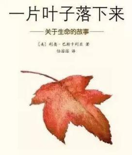 《一片叶子落下来》