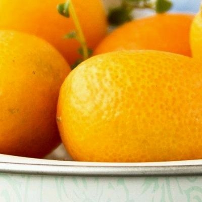 老鼠抬花轿 徐逸凡