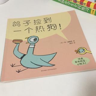 鸽子捡到一个热狗