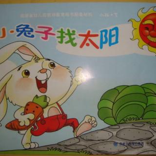 故事《小兔找太阳》