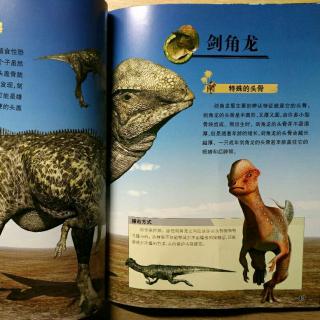恐龙星球白垩纪【剑角龙】-15