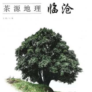 《茶源地理  临沧》（作者：吴垠，《茶道新生活》主编）