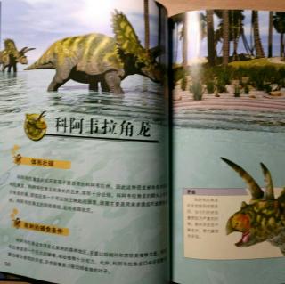 恐龙星球白垩纪【科阿韦拉角龙】-16