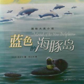 蓝色的海豚岛🐬