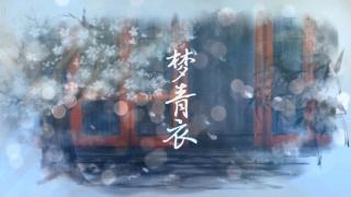 【Assen捷×秦艾德】梦青衣