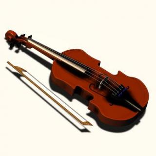 乐器王后小提琴的发明竟要感谢一直乌龟