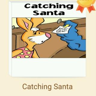 像小鸟一样自由的交流……叶子21 Catching Santa